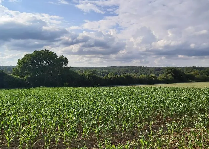 Bed & Breakfast Entre Champs Ohain